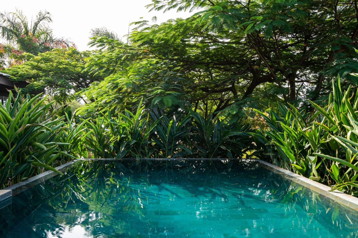 Vợ chồng làm nhà trốn thành phố, thoải mái đi dạo như công viên - 7 Vợ chồng làm nhà trốn thành phố, thoải mái đi dạo như công viên - 7
