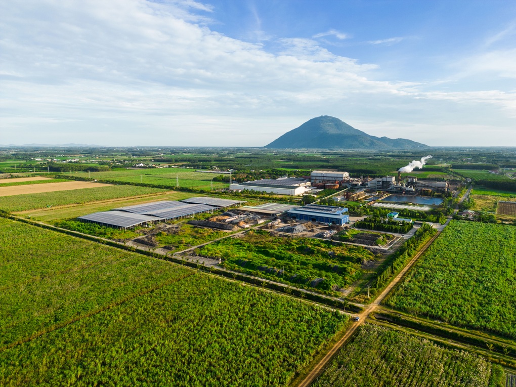 Hàng ngàn vận động viên tham gia giải chạy băng đồng tại Tây Ninh - 1 Hàng ngàn vận động viên tham gia giải chạy băng đồng tại Tây Ninh - 1