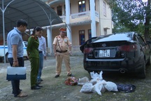 Thuê ô tô chở 9 cá thể động vật quý hiếm về xuôi bán