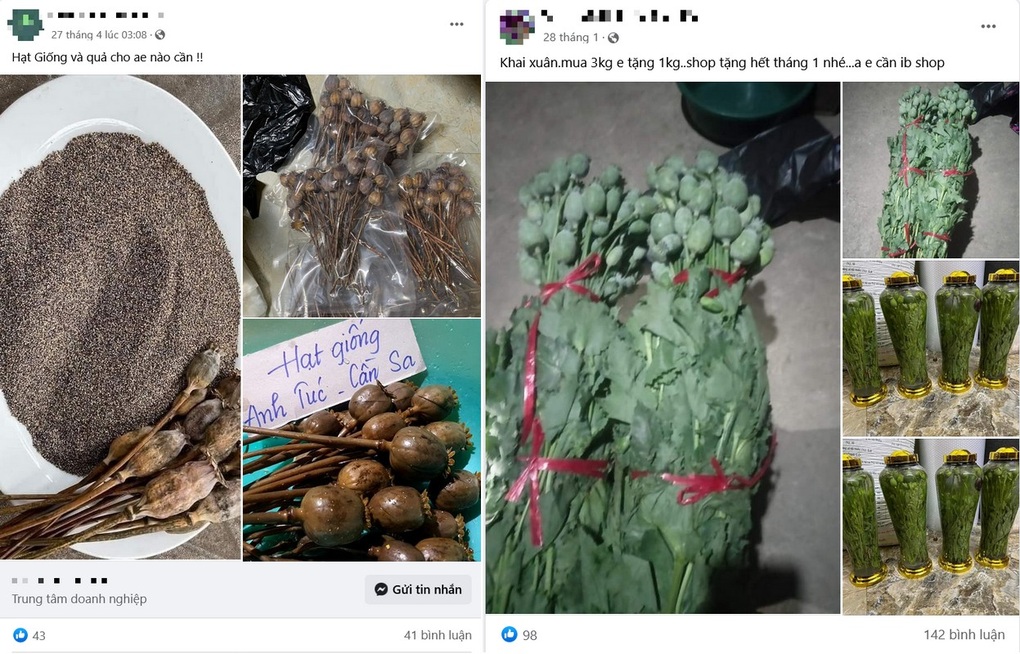Các fanpage rao bán công khai hạt giống, hoa và rượu ngâm cây anh túc (Ảnh chụp màn hình). Các fanpage rao bán công khai hạt giống, hoa và rượu ngâm cây anh túc (Ảnh chụp màn hình).