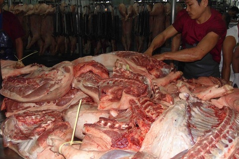 TPHCM: 13 triệu dân nguy cơ “đói” thịt trong vòng vây dịch tả lợn