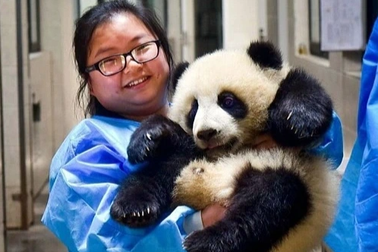 Việc không cần bằng cấp, lương hơn 700 triệu đồng/năm vẫn khó tìm người