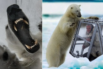 Con người nằm trong "thực đơn" của những loài động vật nào?