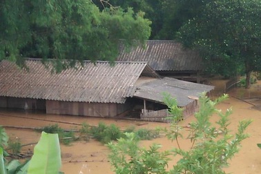 12 người chết và mất tích sau bão số 4