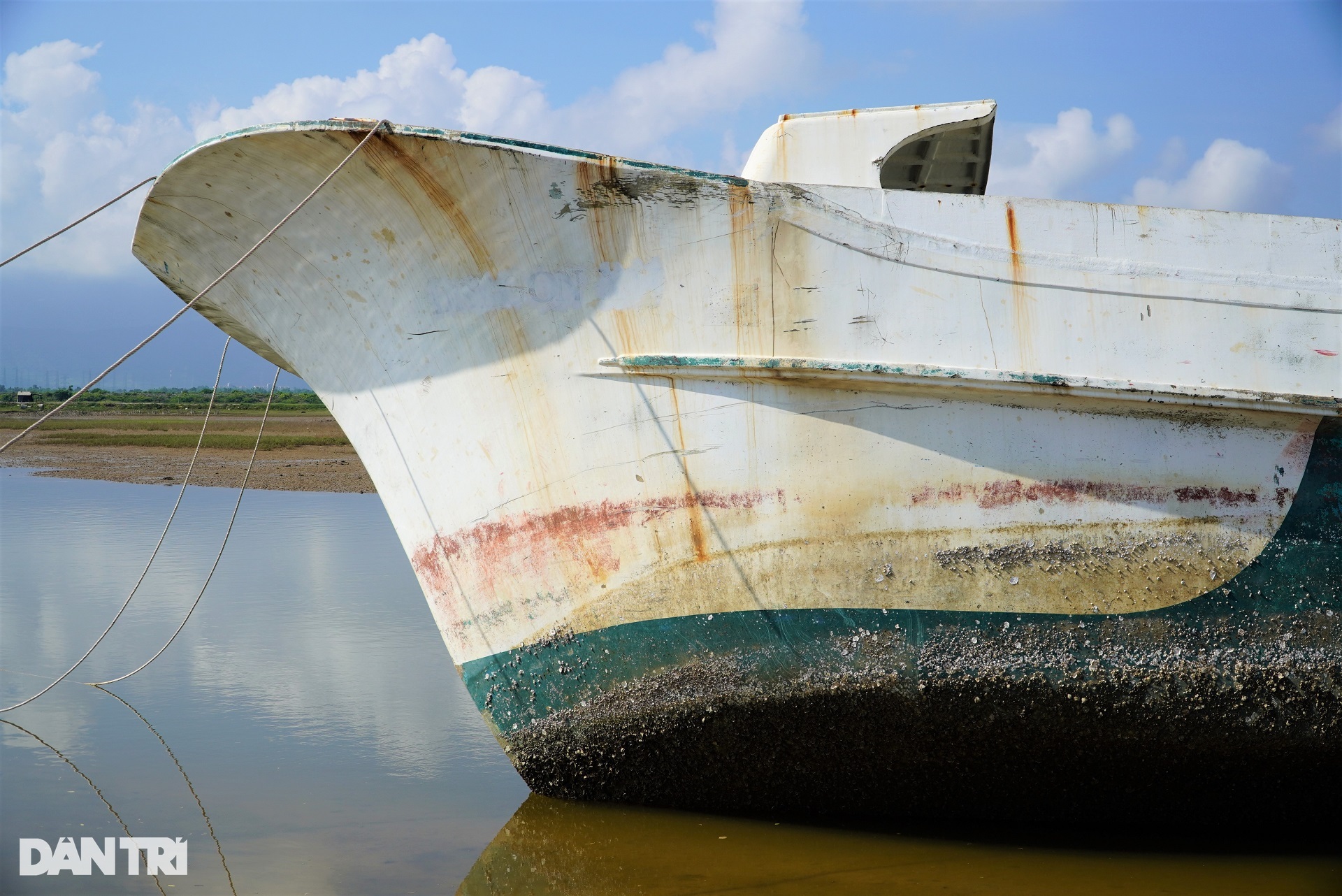 Những con tàu ma án ngữ nơi cửa biển - 4