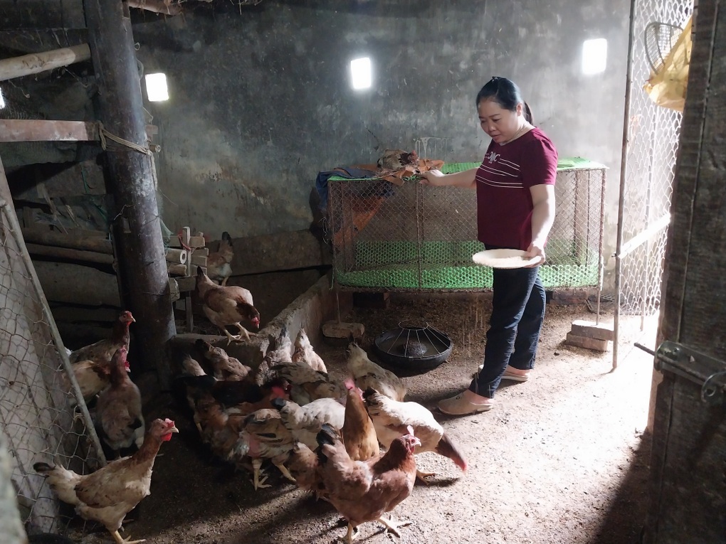 Nhiều người thoát nghèo nhờ mô hình tạo sinh kế của huyện Hưng Nguyên - 1 Nhiều người thoát nghèo nhờ mô hình tạo sinh kế của huyện Hưng Nguyên - 1