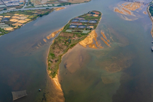 Cồn cát mang hình cá voi đang bơi ở cửa biển tại Bình Định