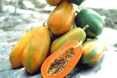 Tiết lộ động trời của người bán hoa quả chợ Long Biên