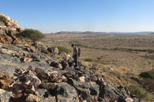 Phát hiện dạng sống tối cổ là tổ tiên của nhiều loại động vật hiện đại