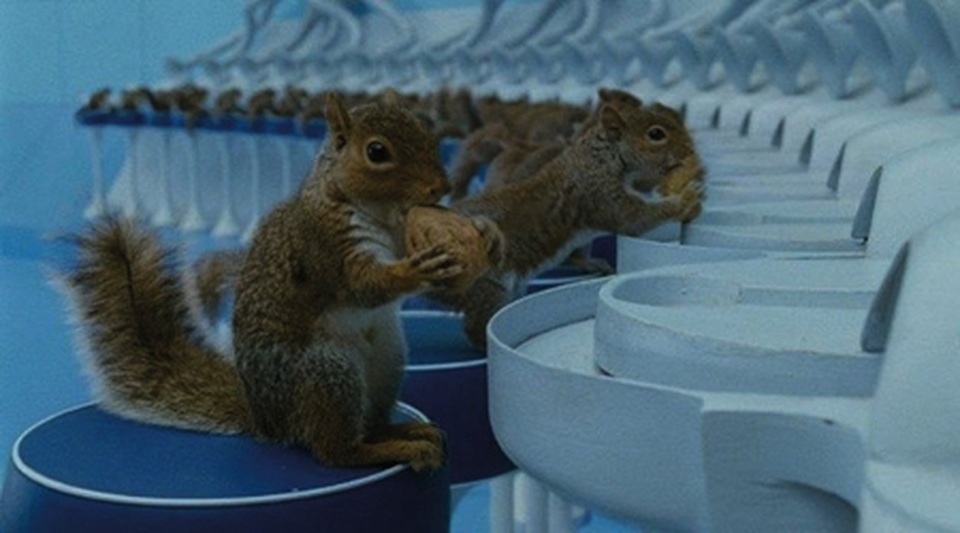 Những chi tiết nhỏ nhưng rất tinh tế trên màn ảnh - 4