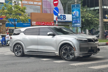 Tháng trước khi lên sàn chứng khoán Mỹ, VinFast bán được bao nhiêu xe điện?