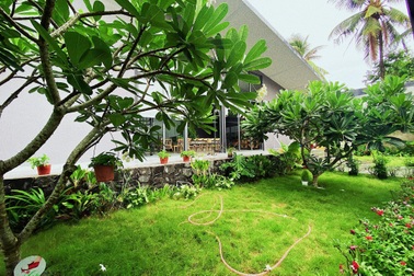 Chàng trai Kiên Giang "bỏ phố về quê" làm nhà vườn xanh mát, sống an nhàn