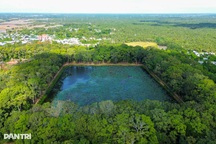 Ngắm Ao Bà Om với hàng trăm cây cổ thụ có bộ rễ hình thù độc lạ