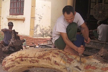 "Đại hạ giá" 2 cây gỗ sưa đỏ xuống còn 130 tỷ đồng cho đợt đấu giá lần thứ 4