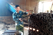 Lạng Sơn: Bỏ nghề y về kiếm bộn tiền từ thứ cả làng vứt đi