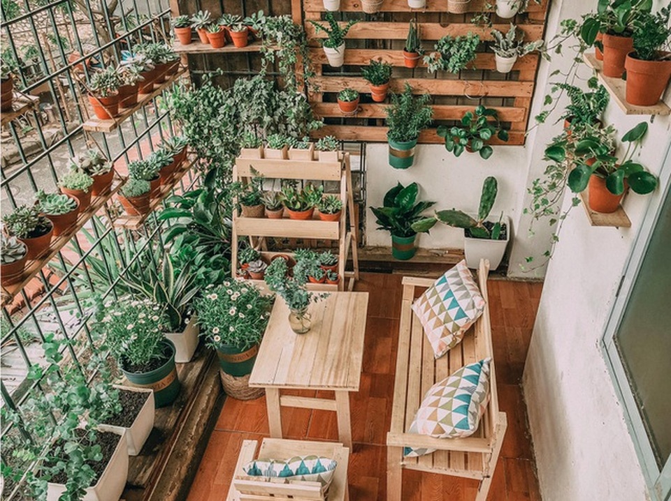 Sửng sốt những khu vườn ban công hoa trái trĩu trịt của mẹ Việt đảm đang - 8 Sửng sốt những khu vườn ban công hoa trái trĩu trịt của mẹ Việt đảm đang - 8