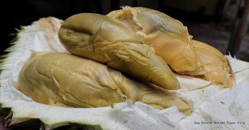 Sầu riêng nhìn như nhũn chảy nước mốc xanh, bán giá sốc 700.000 đồng/kg - 2