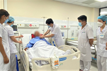 Nhầm lá ngón với cây beo đun nước uống, 2 vợ chồng bị ngộ độc