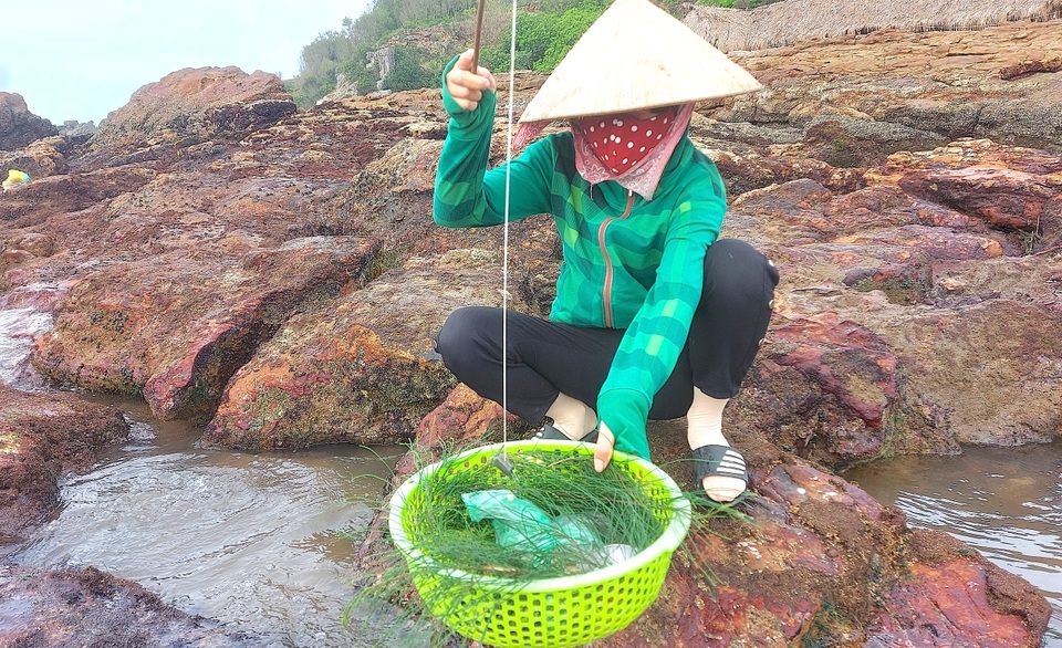 Hái lộc biển nơi cửa lạch - 6 Hái lộc biển nơi cửa lạch - 6