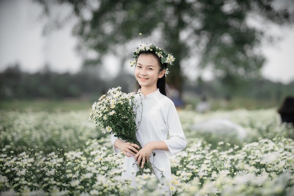 Bạn trẻ đổ xô đến vườn cúc họa mi “độc nhất” Nam Định chụp ảnh - 7