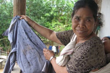 Dân khốn khổ vì côn trùng lạ