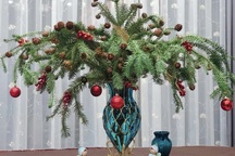 Chưa tới Noel, người dân Hà Nội đã săn lùng thông tươi về cắm