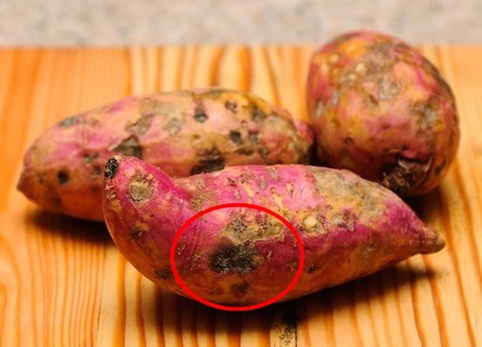Những chất độc từ thức ăn thực vật - 5 Những chất độc từ thức ăn thực vật - 5
