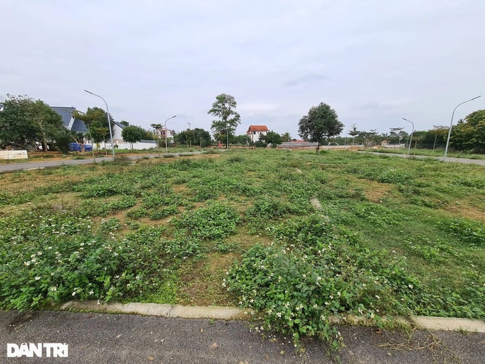 Không gì giàu bằng buôn đất? - 1