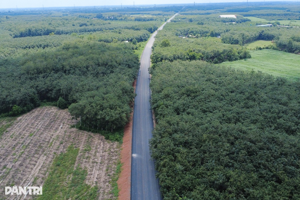 Đường Hồ Chí Minh qua Tây Ninh thi công vượt 85% nhưng vẫn kẹt mặt bằng - 1 Đường Hồ Chí Minh qua Tây Ninh thi công vượt 85% nhưng vẫn kẹt mặt bằng - 1