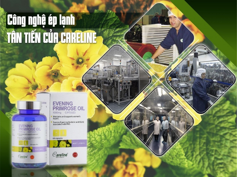 Công nghệ ép lạnh - Điều làm nên sự khác biệt của tinh dầu hoa anh thảo Careline - 3 Công nghệ ép lạnh - Điều làm nên sự khác biệt của tinh dầu hoa anh thảo Careline - 3