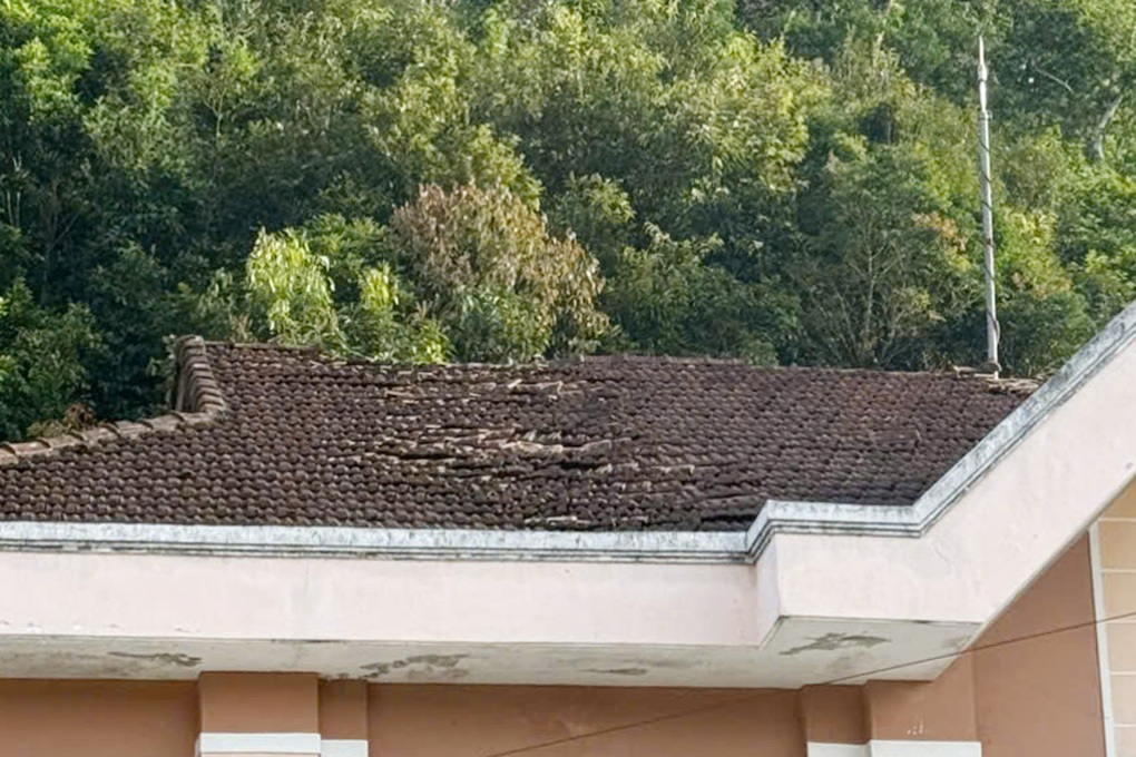 Hai ngày 25 trận động đất kèm nhiều tiếng nổ lớn - 2 Hai ngày 25 trận động đất kèm nhiều tiếng nổ lớn - 2