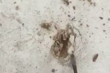 Đoạn đường 2km đầu tư 10 tỷ đồng, bê tông chọc nhẹ đã... thủng