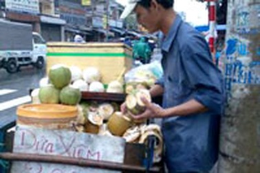 “Mặc lại áo” cho dừa xiêm 