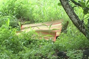 Lại xảy ra một vụ giết người tại địa bàn "vụ thảm án Bình Phước"