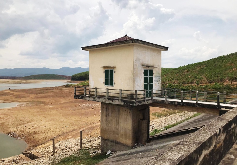 Cận cảnh những cánh đồng lúa cháy khô vì hạn hán - 3 Cận cảnh những cánh đồng lúa cháy khô vì hạn hán - 3