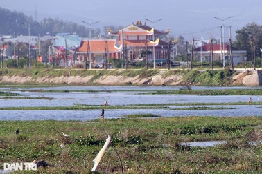 Hàng trăm ha đất lúa bị ngập úng, dân ngóng "dài cổ" vẫn chưa được đền bù