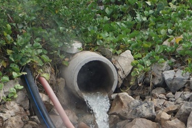 Xả thải bẩn, 2 công ty chế biến hải sản bị phạt gần một tỷ đồng