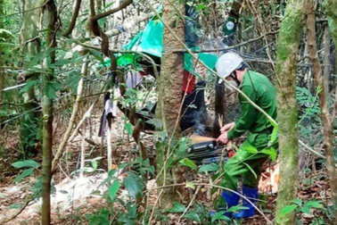 Lời kể ám ảnh của những người phát hiện 2 bộ xương khô giữa rừng