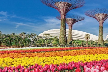 Kỳ nghỉ náo nhiệt tại Singapore