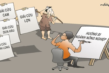 Đến bao giờ thì mới không còn phải “giải cứu”?