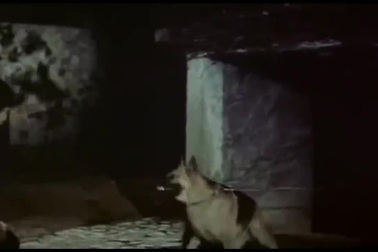 Trailer phim “Long tranh hổ đấu” (1973)