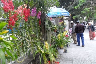 Chớm Tết ở Cố đô