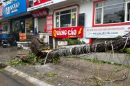 Cảnh hoang tàn sau bão Yagi tại các khu đô thị ở Hà Nội
