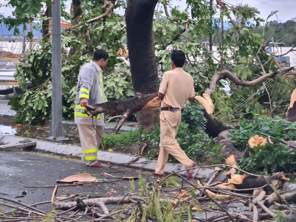 Tàu chìm, nhà sập, trường học tốc mái, cây xanh ngã đổ trong bão số 13 - 26 Tàu chìm, nhà sập, trường học tốc mái, cây xanh ngã đổ trong bão số 13 - 26