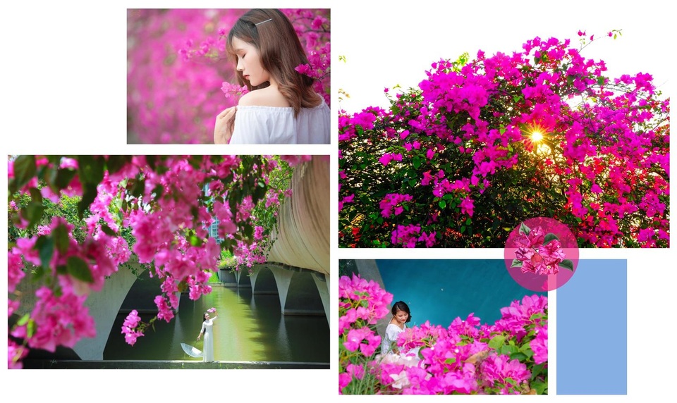 Căn hộ 65m2 “đẹp mê” nhờ độc chiêu thiết kế nội thất của mẹ đảm Hà Nội - 12 Căn hộ 65m2 “đẹp mê” nhờ độc chiêu thiết kế nội thất của mẹ đảm Hà Nội - 12