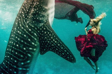 Ngắm thiếu nữ khiêu vũ quyến rũ với…cá mập voi