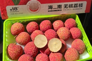 Vải thiều không hạt Trung Quốc đổ về chợ Việt, giá bán gần 1 triệu đồng/kg