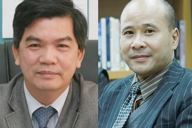 Hai giảng viên nhận Huân chương Hiệp sĩ Văn học và Nghệ thuật, Hiệp sĩ Cành cọ Hàn lâm của Pháp