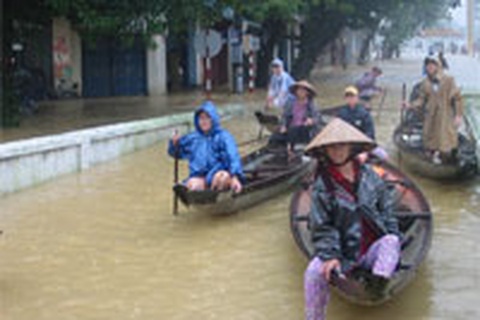 Sinh viên “chọi” lũ kiếm tiền