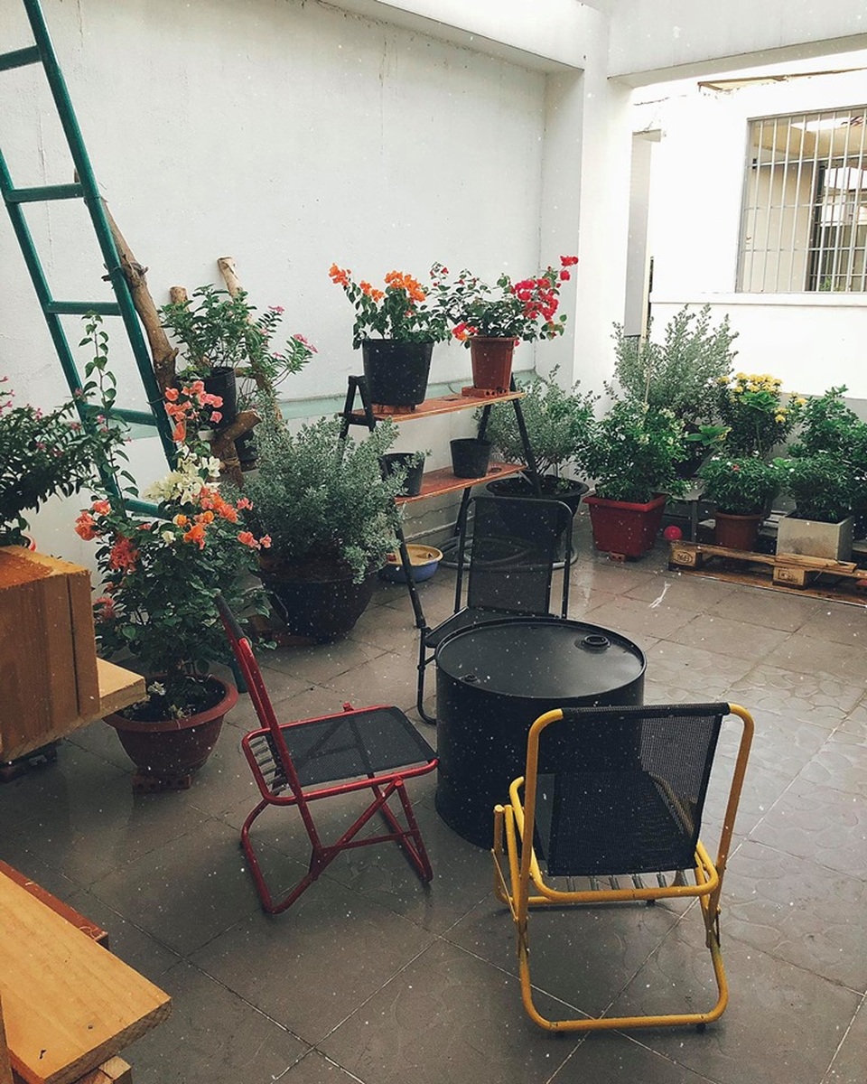 Người chồng ở Sài Gòn tự làm vườn sân thượng “sống ảo” cho vợ - 4 Người chồng ở Sài Gòn tự làm vườn sân thượng “sống ảo” cho vợ - 4